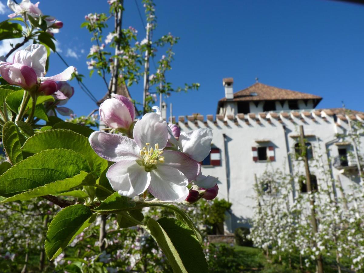 Apartments Schloss Paschbach Appiano Sulla Strada Del Vino Luaran gambar
