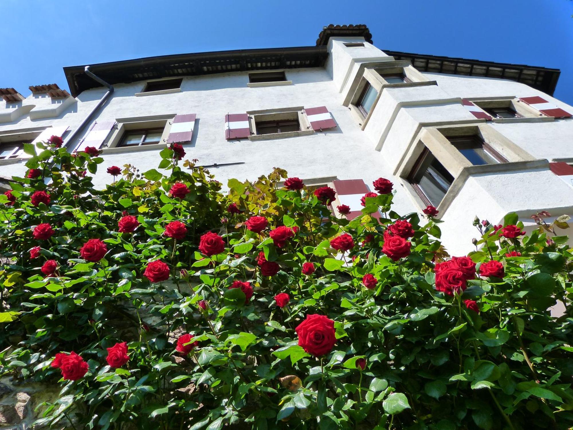 Apartments Schloss Paschbach Appiano Sulla Strada Del Vino Luaran gambar