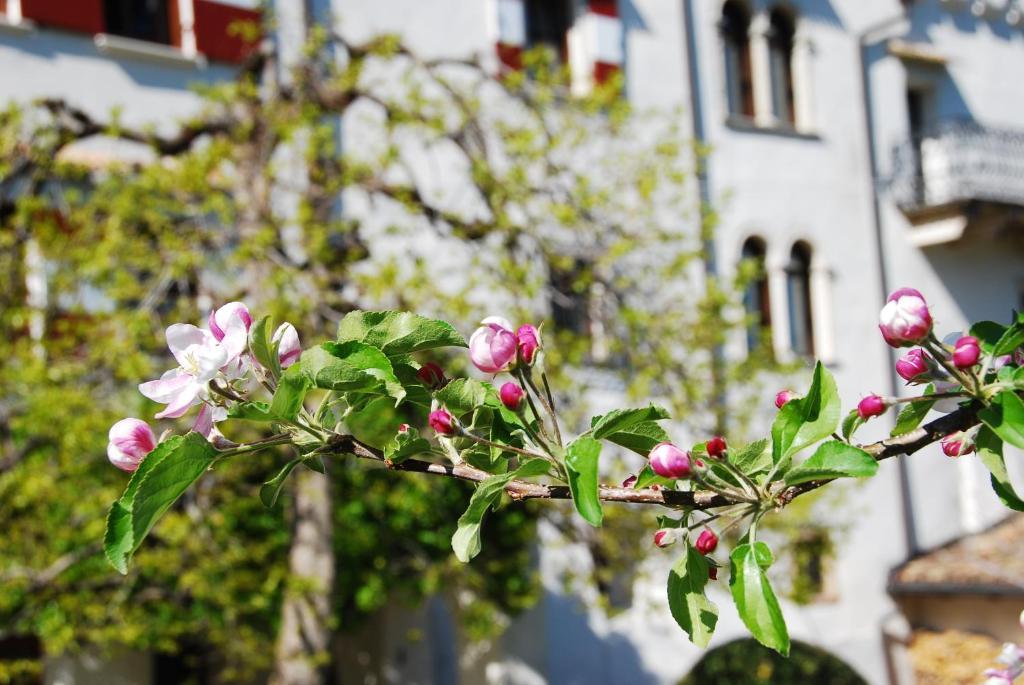 Apartments Schloss Paschbach Appiano Sulla Strada Del Vino Luaran gambar
