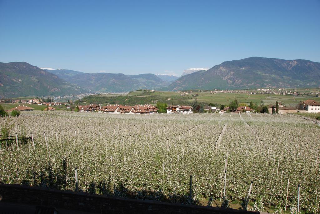 Apartments Schloss Paschbach Appiano Sulla Strada Del Vino Luaran gambar