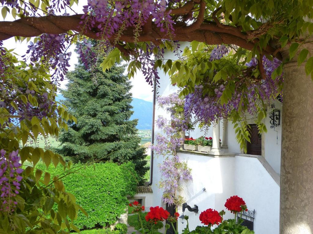 Apartments Schloss Paschbach Appiano Sulla Strada Del Vino Luaran gambar